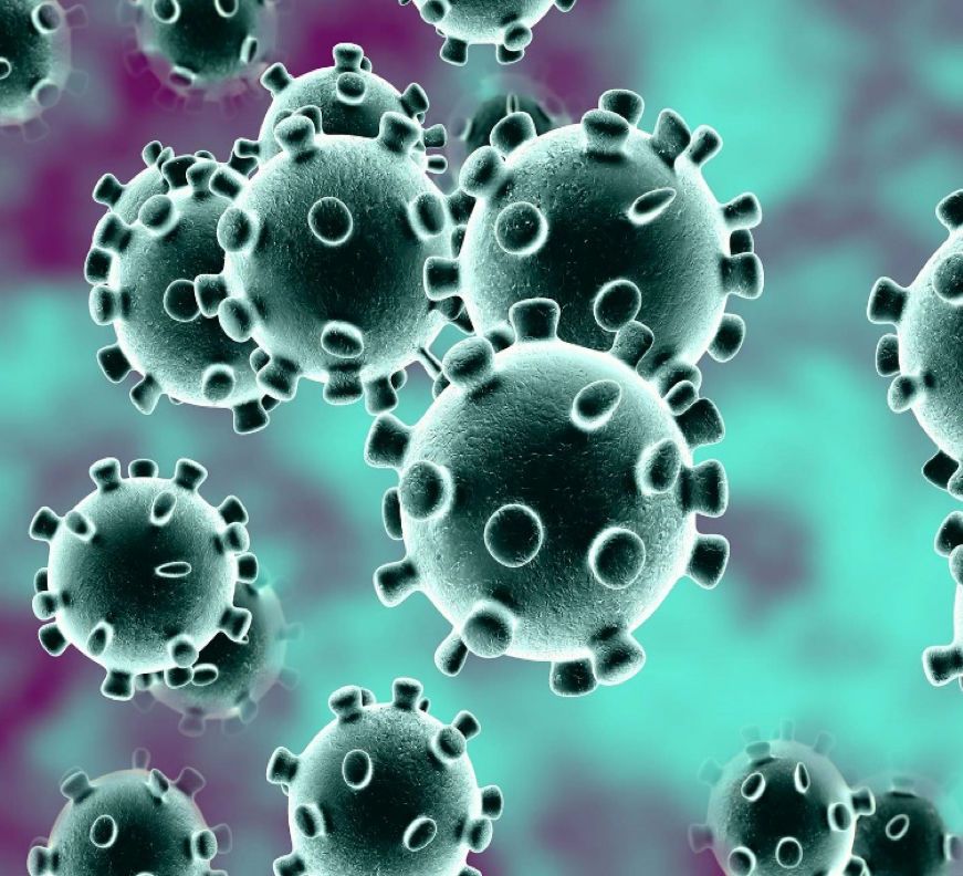 coronavirus